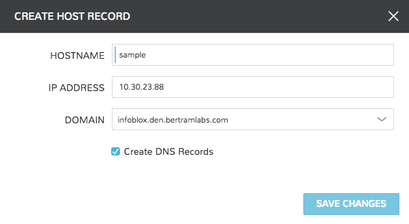 ../../_images/infoblox_addhostrecord.png